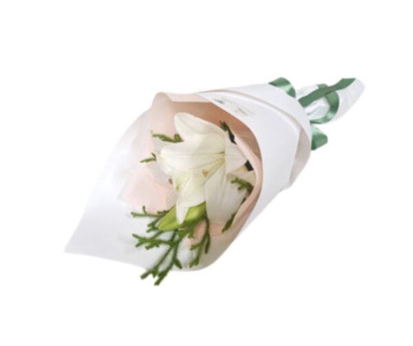 Asiatic Lily - Soft