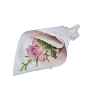 Single Coloured Rose