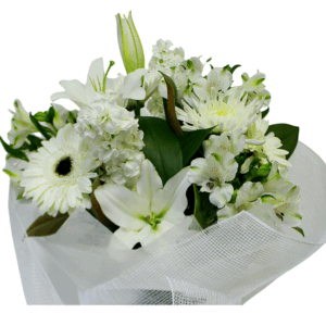 Classic Vox - Florists Choice