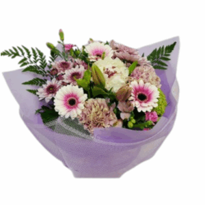 Pastel Vox - Florists Choice