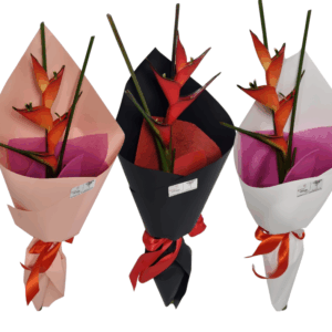 Heliconia Flower