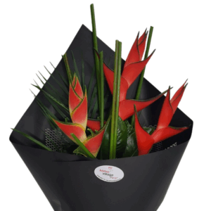 Heliconia Flower 3x Stems