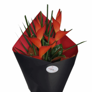 Heliconia Flower 2 stems