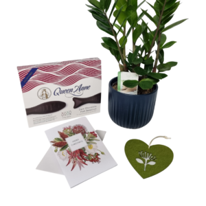 Zanzibar Plant Giftset