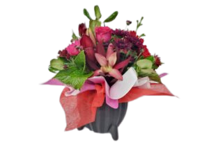 Belly Pot Bright Arrangement